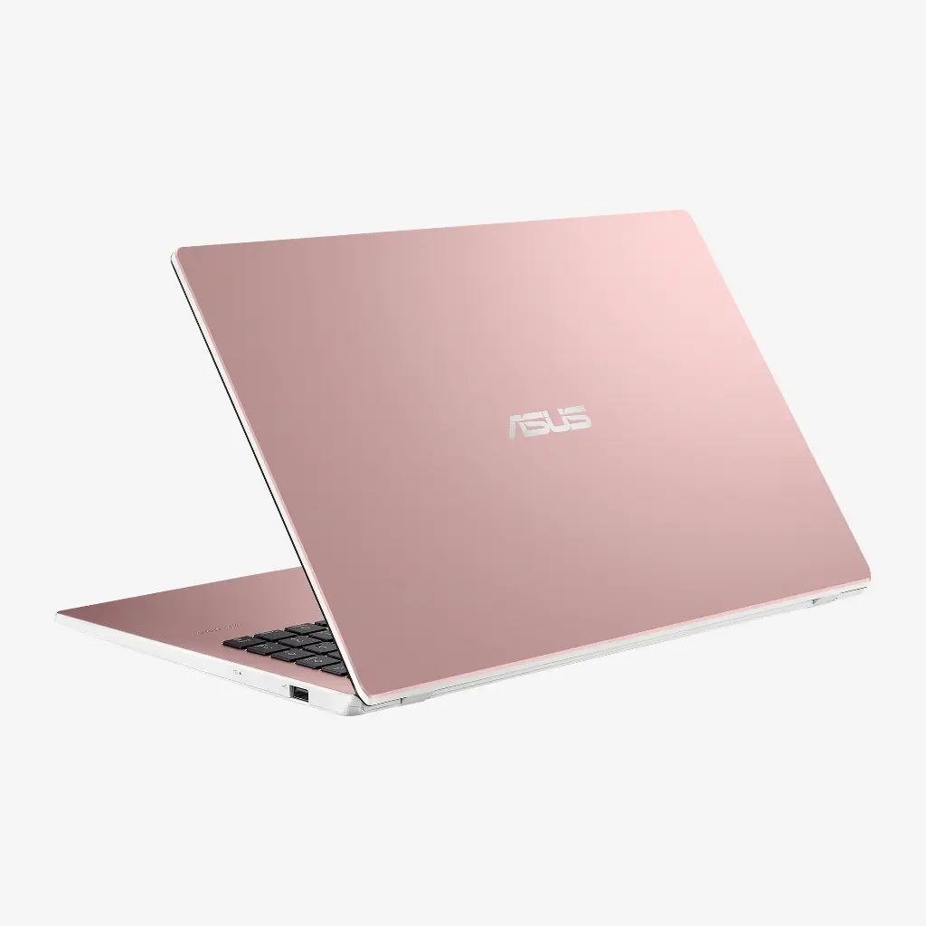 Asus VivoBook L510KA-WH21-P