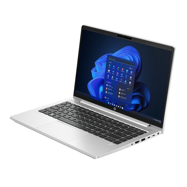 HP ProBook 450 G10 (9B9H3EA)