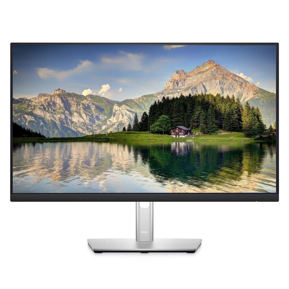 [P2422H] DELL  P2422H 23.8"