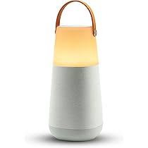 ION Bright Max