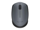 Մկնիկ Logitech M170